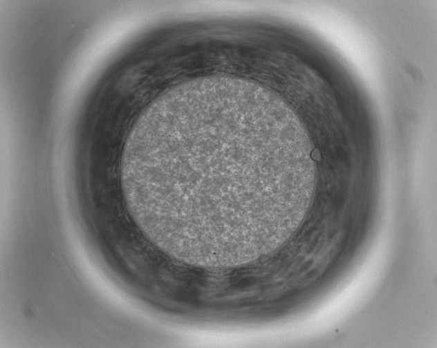 X0000115230766200911271822