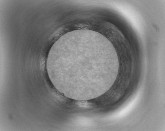 X0000115230767200911271822