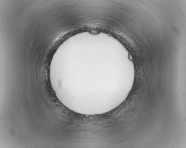 X0000115230776200911271821