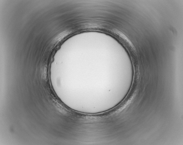 X0000115230777200911271821