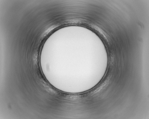 X0000115230778200911271821