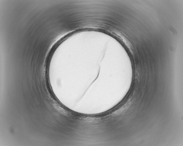 X0000115230779200911271821