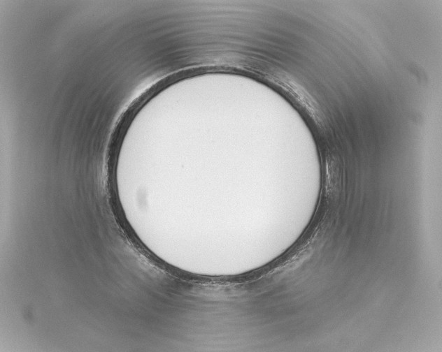 X0000115230780200911271821