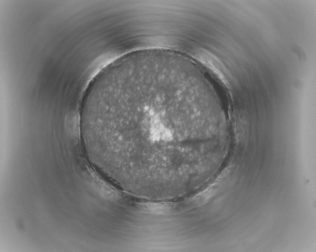 X0000115230781200911271821