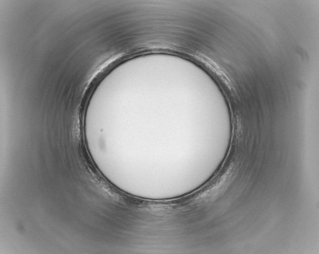 X0000115230782200911271821