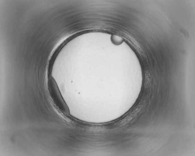 X0000115230788200911271821