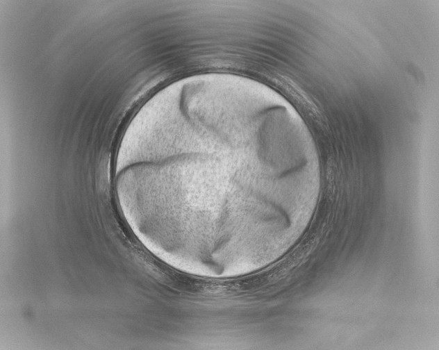 X0000115230790200911271821