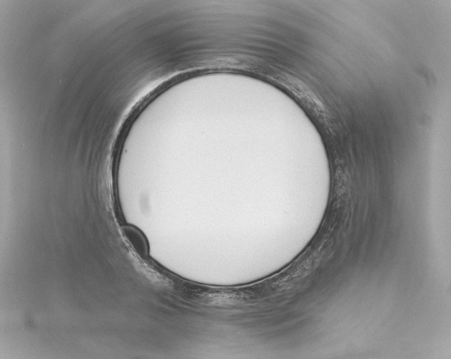 X0000115230792200911271821