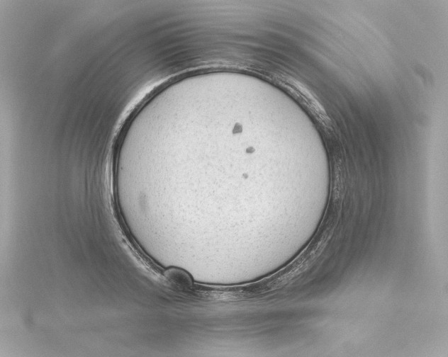 X0000115230796200911271821