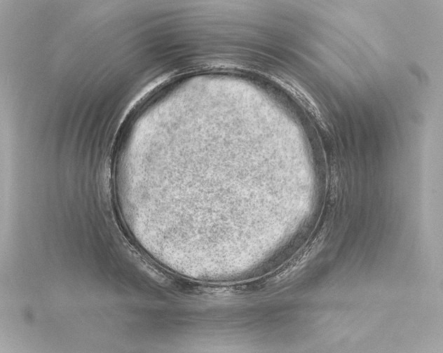 X0000115230798200911271821