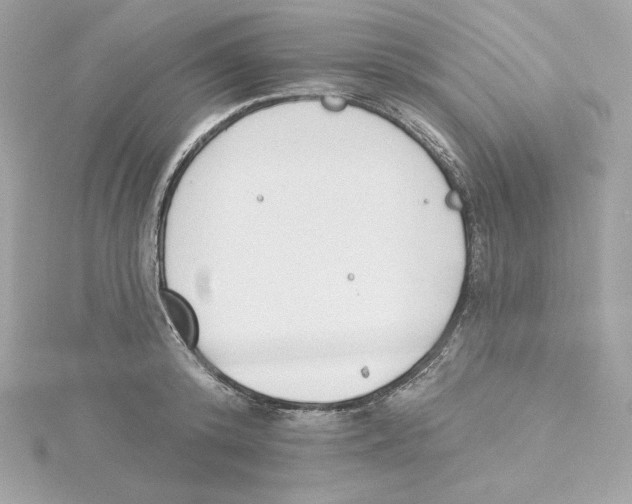 X0000115230800200911271821