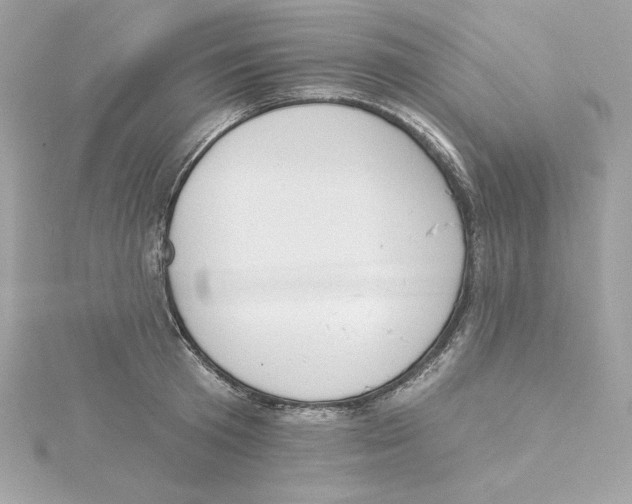 X0000115230801200911271821