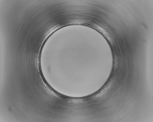 X0000115230802200911271821