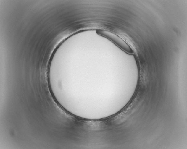 X0000115230805200911271821