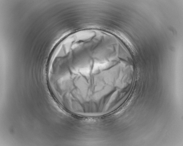 X0000115230806200911271821