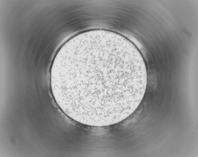 X0000115230807200911271821