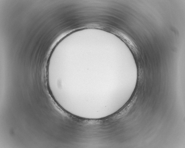 X0000115230808200911271821