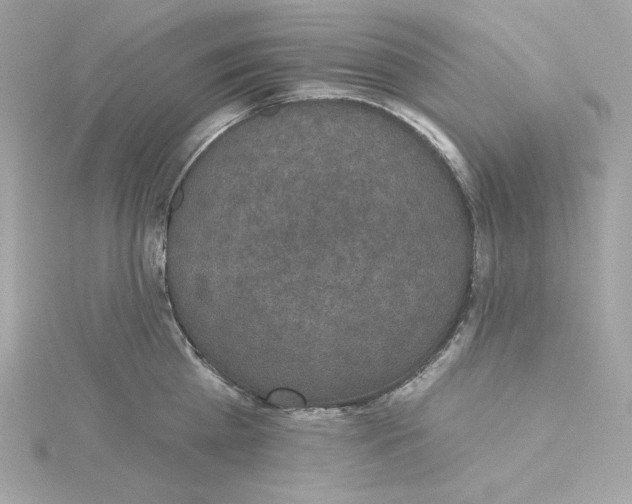 X0000115230809200911271821