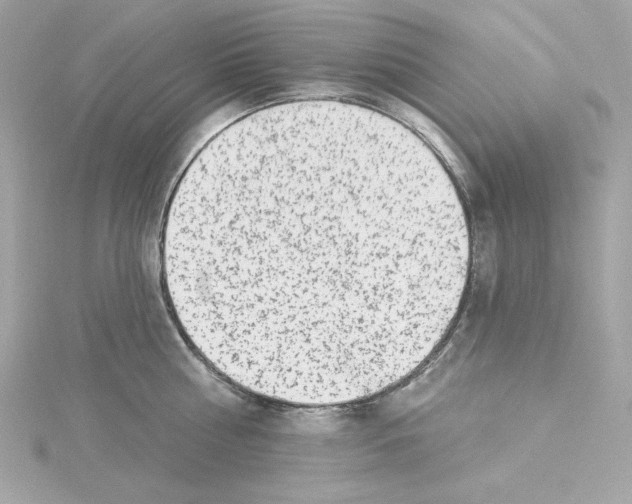 X0000115230810200911271821