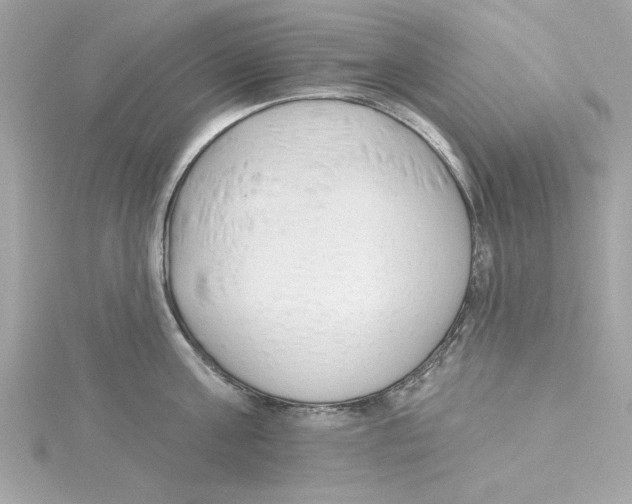 X0000115230811200911271821