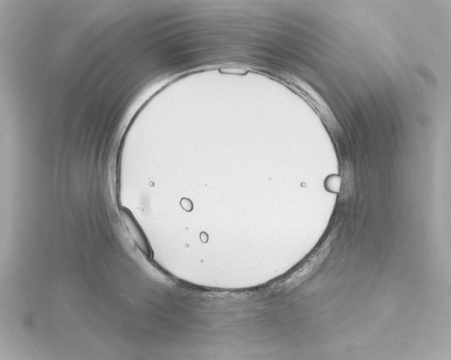 X0000115230812200911271821