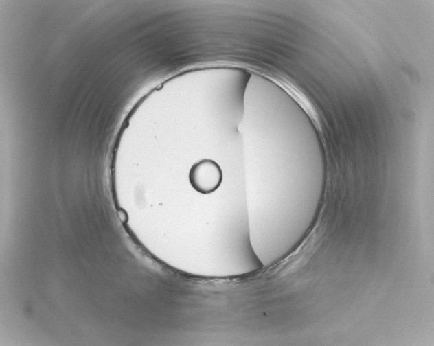 X0000115230813200911271821