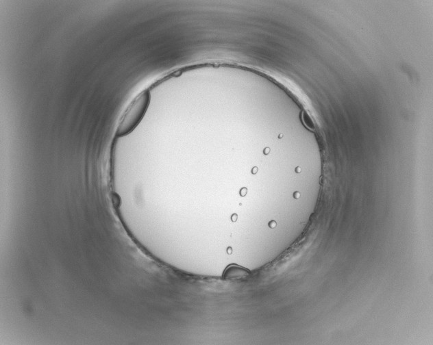 X0000115230815200911271821