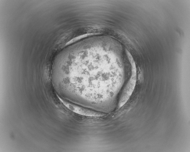 X0000115230819200911271820