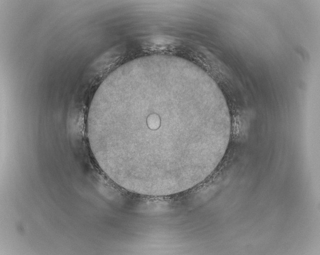 X0000115230820200911271820