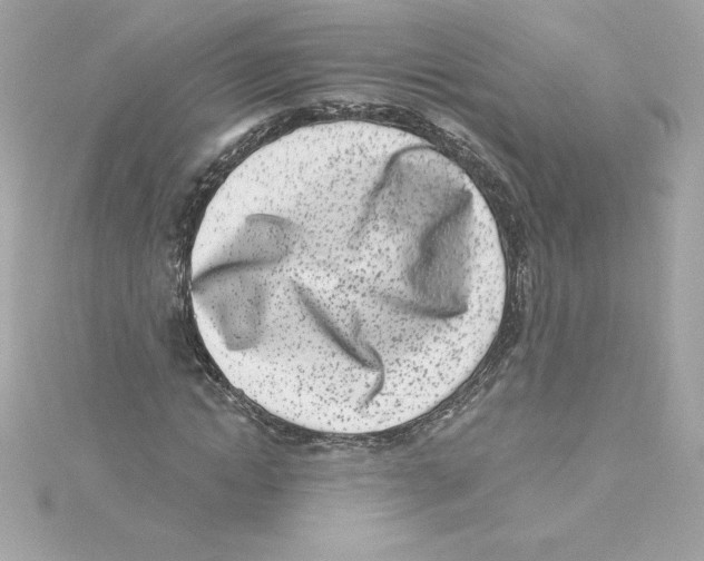 X0000115230822200911271820