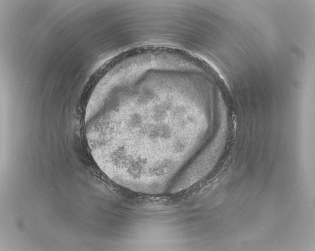 X0000115230823200911271820