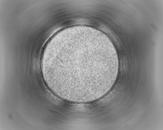 X0000115230828200911271820