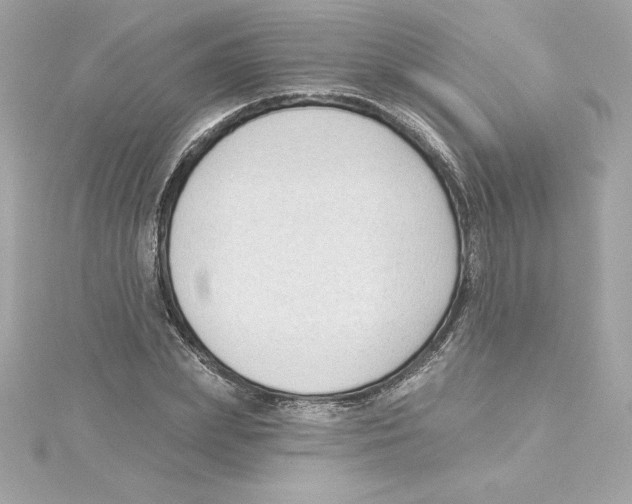 X0000115230831200911271820