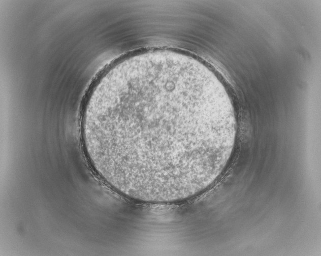 X0000115230832200911271820