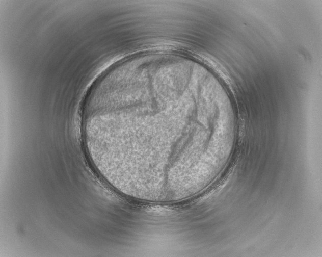 X0000115230835200911271820