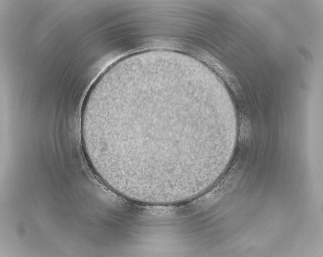 X0000115230836200911271820