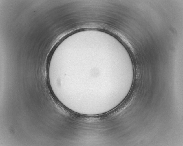 X0000115230837200911271820