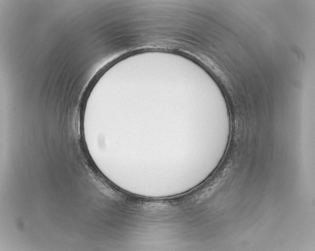 X0000115230838200911271820