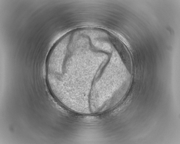 X0000115230839200911271820