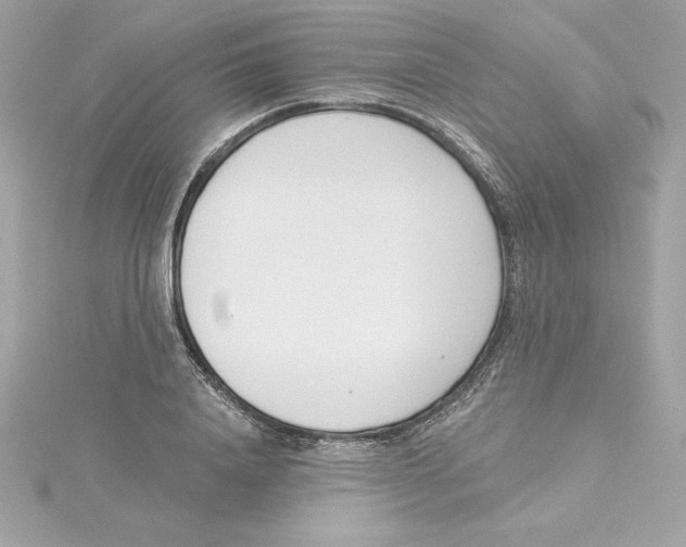 X0000115230840200911271820