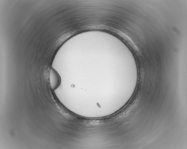 X0000115230841200911271820