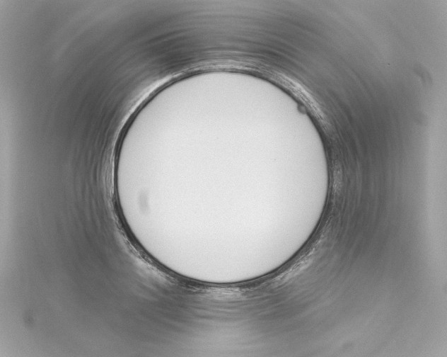 X0000115230844200911271820