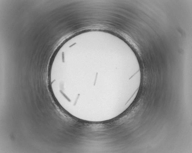 X0000115230845200911271820