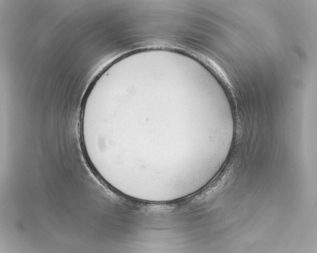 X0000115230847200911271821