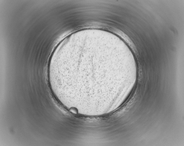 X0000115230850200911271821