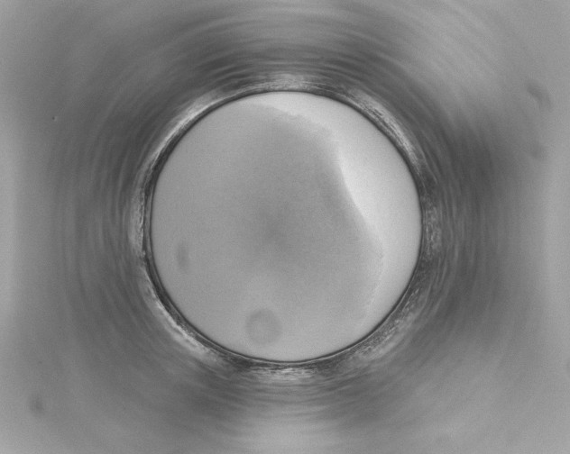 X0000115230851200911271821