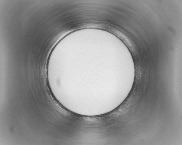 X0000115230852200911271821