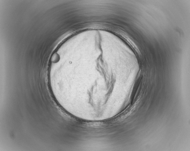 X0000115230853200911271821