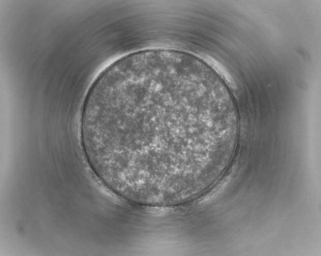 X0000115230854200911271821