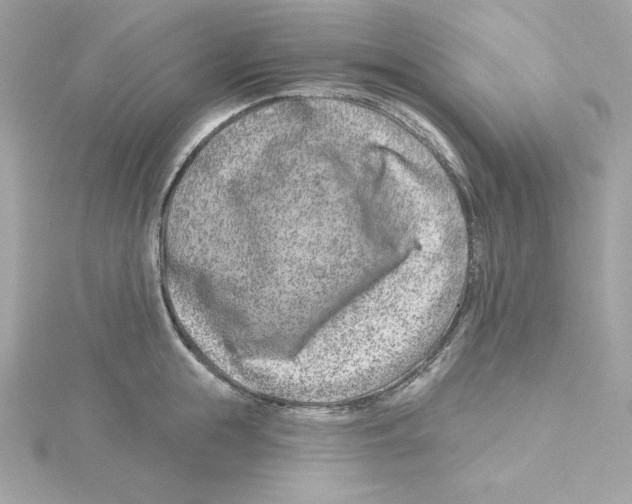 X0000115230855200911271821